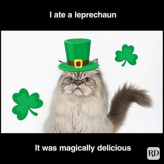 Happy St. Patrick's Day!